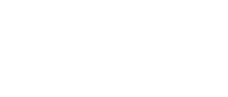 Лого ДНС